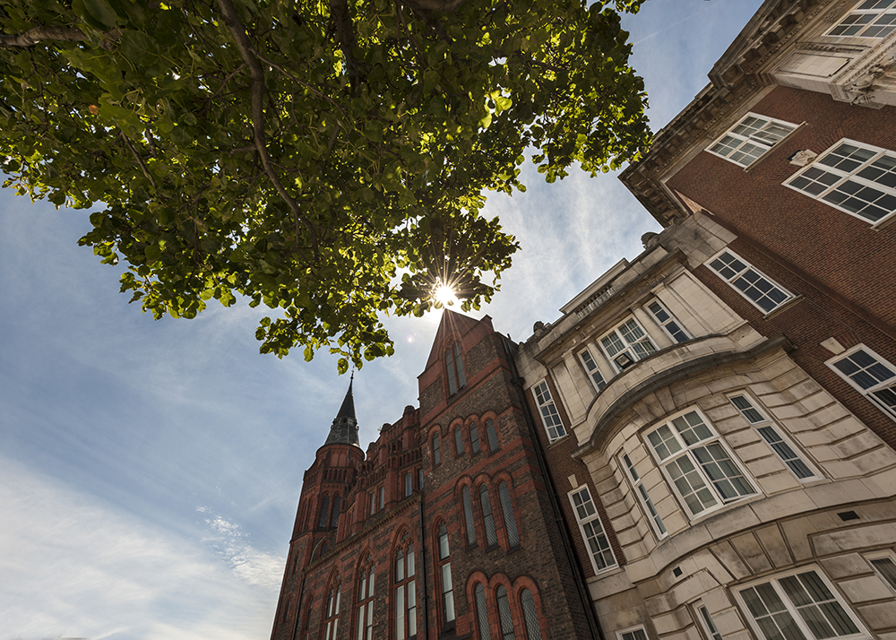 Campus Exterior – dramatic shot looking upwards of tree with green leaves and campus building – sun shining.