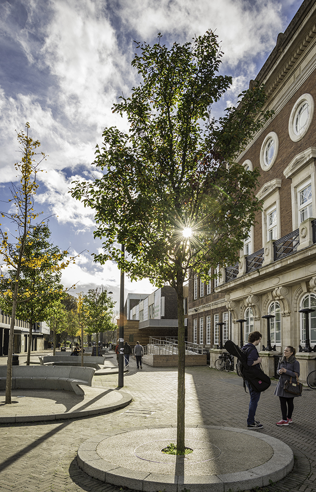 Campus exterior photo with sun shining through trees, various people walking through scene and talking.