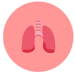 Illustration of a pair of lungs in a circular icon